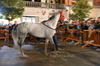 Immagine <b>REG_8124</b>